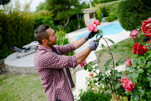 Team trimming hedges in a Cricklewood garden with terraced houses visible