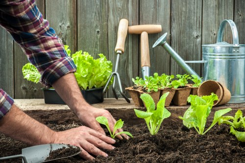 Cricklewood garden soil preparation and planting
