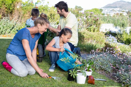 Eco-friendly garden maintenance post-clearance in Cricklewood