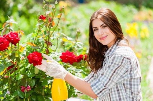 Custom garden designs in Cricklewood
