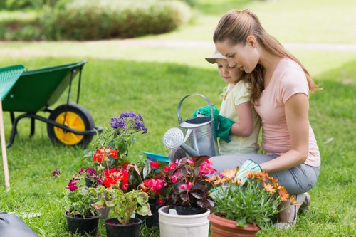 Tree shaping and pruning services