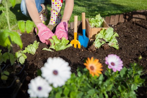 Outdoor garden maintenance in Cricklewood