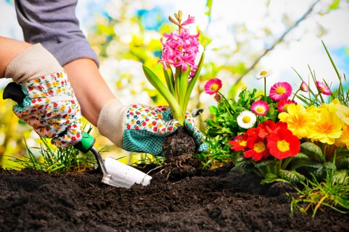 Lush summer garden maintenance techniques