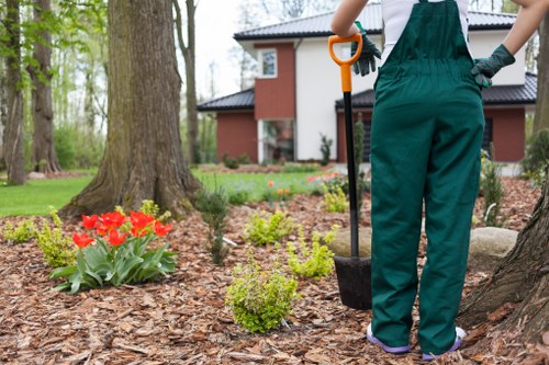 Supervisor conducting a site risk assessment before hedge trimming
