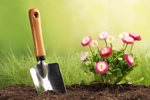 Preparing garden for autumn in Cricklewood