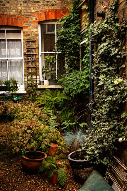 A cozy urban garden scene situated against a dark brick wall with a large window divided into multiple panes. The garden features a variety of potted plants, including pink flowering lilies, white hyd