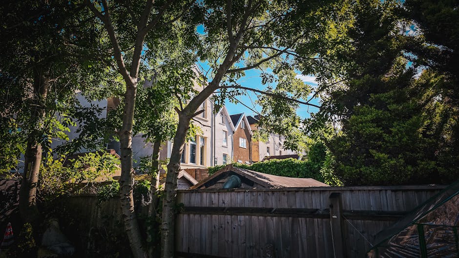 A backyard garden scene viewed from a lower angle, featuring several large trees with leafy green foliage and textured bark, casting dappled shade over the area. Behind the trees, there is a weathered